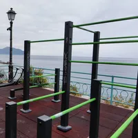 Calisthenics Park at Passeggiata Anita Garibaldi, Genova - thumbnail 2