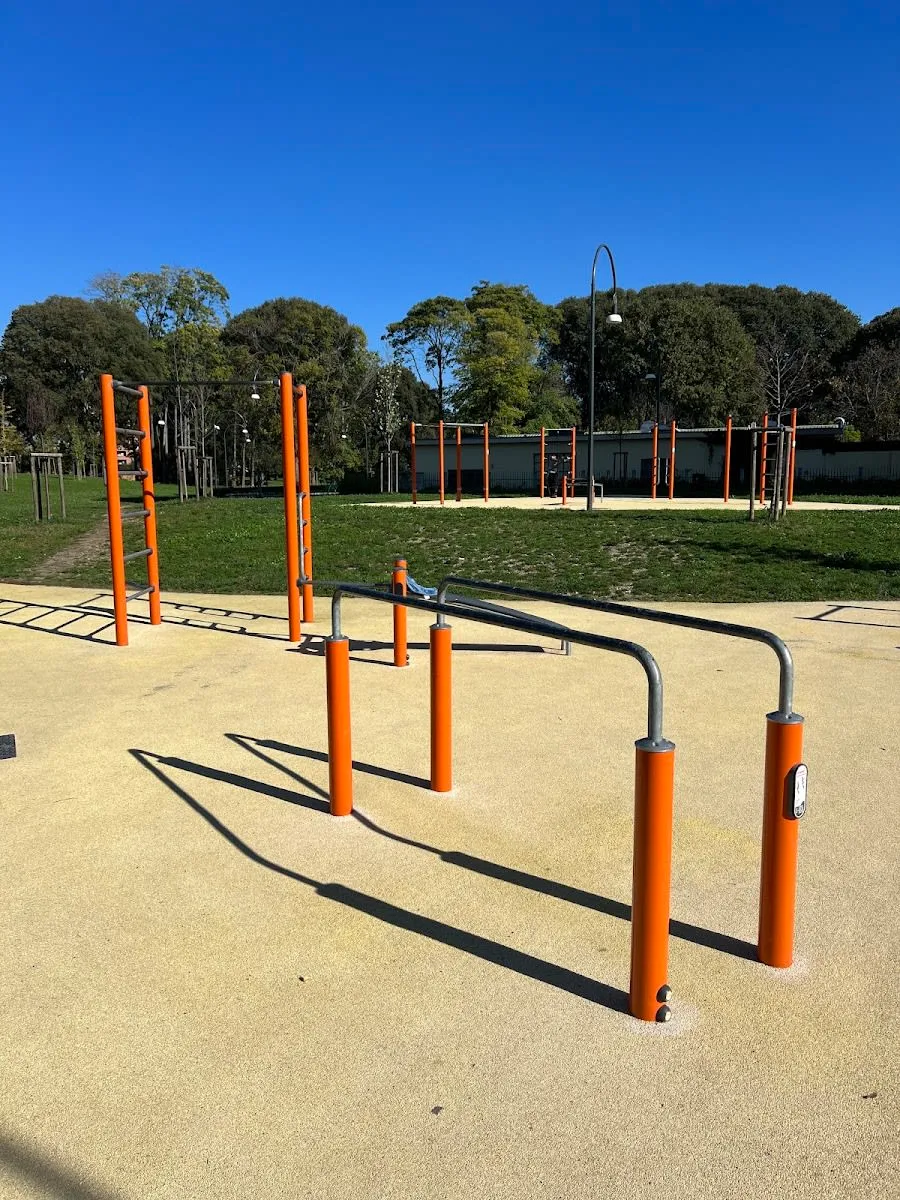 Bară de flotări la Calisthenics Park at Via Ernesto Teodoro Moneta, Milano – fotografia 4 din 5