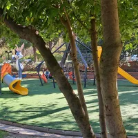 Calisthenics Park at Ηρακλείτου, Δήμος Γλυφάδας - thumbnail 6