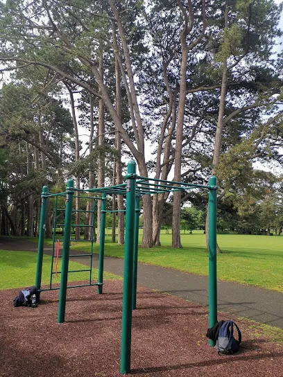 Spalier la Calisthenics Park at National Tennis Centre, Dublin – fotografia 1 din 1