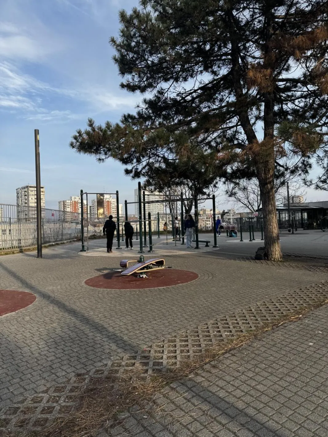 Турник на площадке Calisthenics Park at Абердарева, Градска општина Палилула – фото 1 из 2