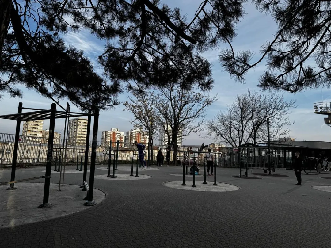 Упоры для отжиманий на площадке Calisthenics Park at Абердарева, Градска општина Палилула – фото 2 из 2