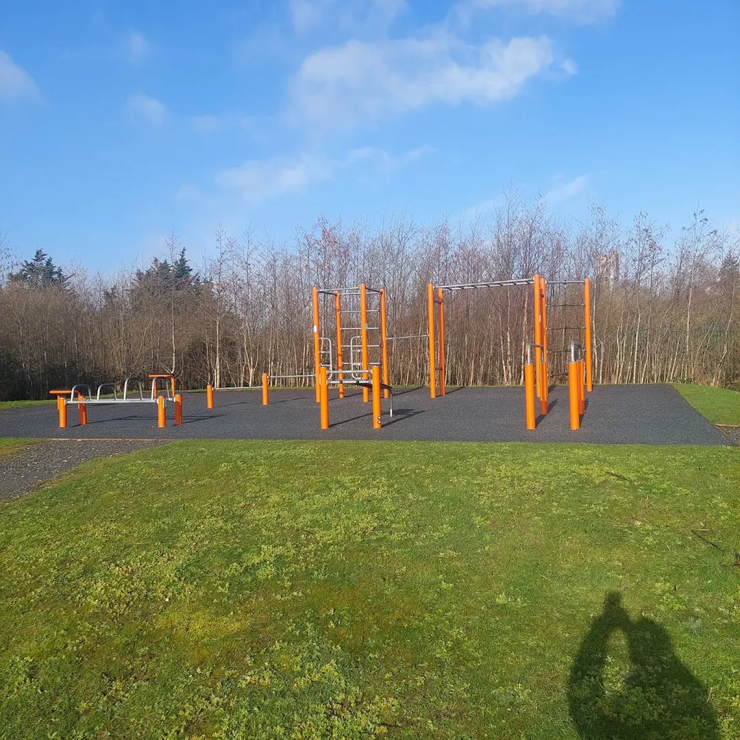 Parallel Gym Bars at Calisthenics Park at South Link Road, Cork – photo 2 of 2