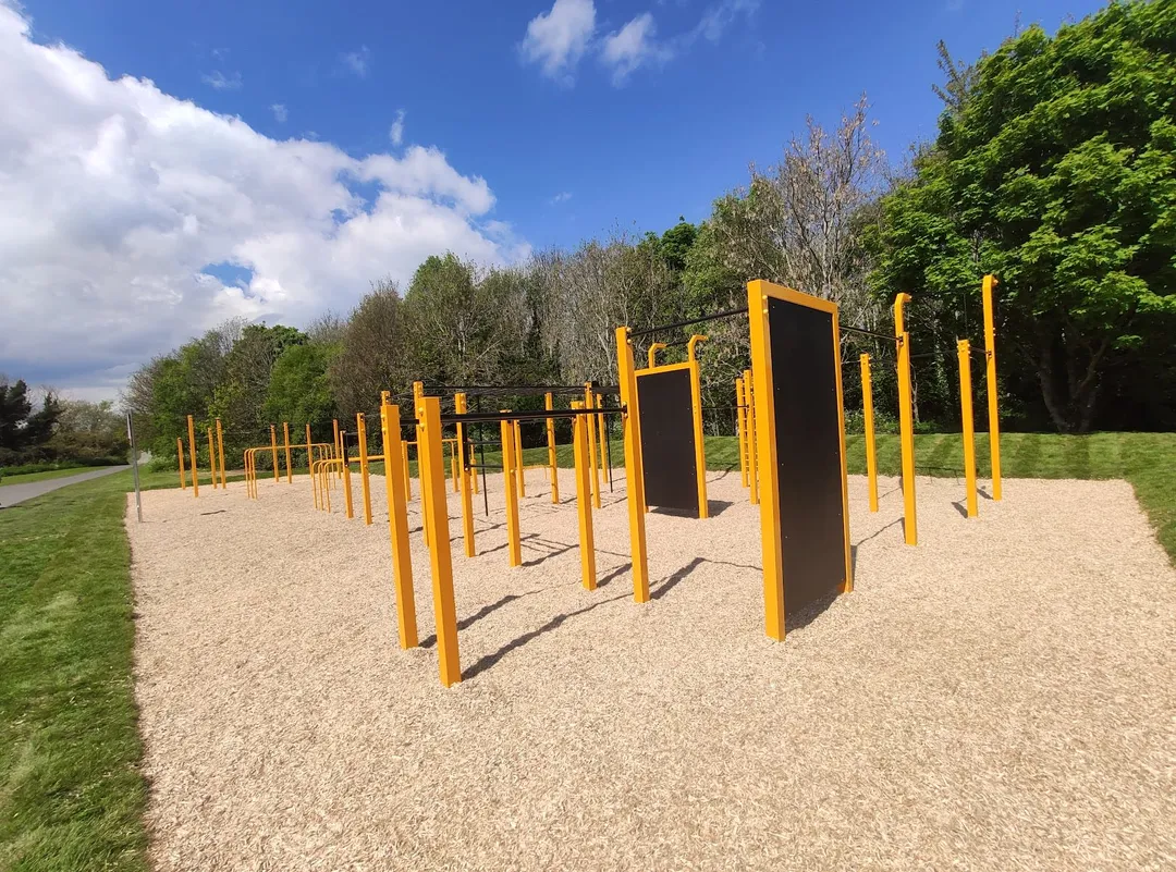 Рукоход на площадке Calisthenics Park at Limekiln Road, Tallaght – фото 4 из 5
