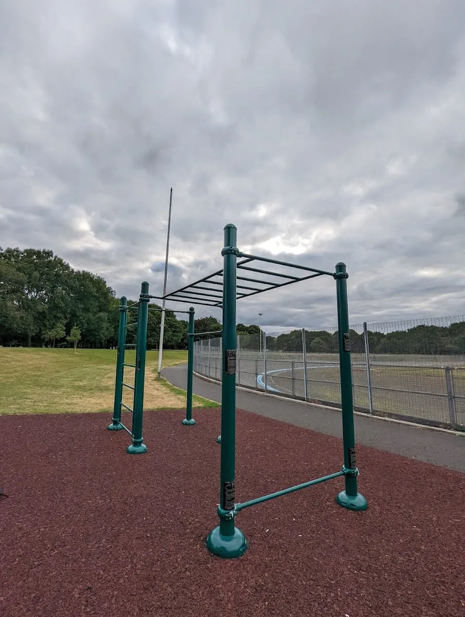Monkey Bars at Calisthenics Park at Eamonn Ceannt Velodrome, Dublin – photo 4 of 4
