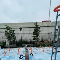 Calisthenics Park at 43rd Street, New York - thumbnail 3