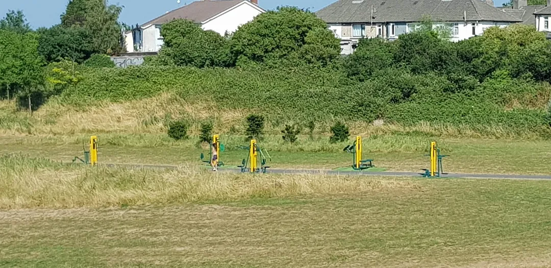 Air Skier at Calisthenics Park at Landsdowne Valley Park, Dublin – photo 3 of 5