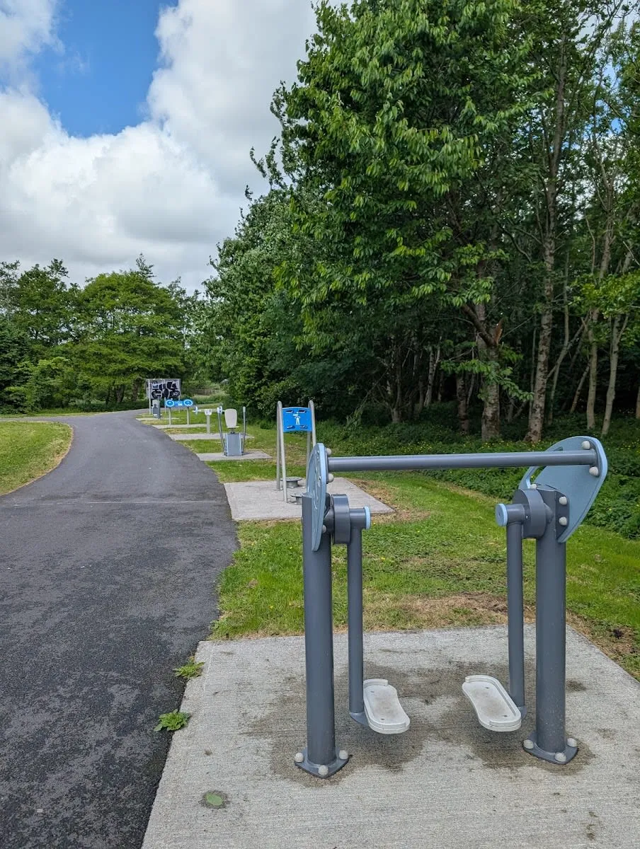 Marcheur aérien à Calisthenics Park at Bóthar Na dTreabh, Cathair na Gaillimhe – photo 3 sur 8