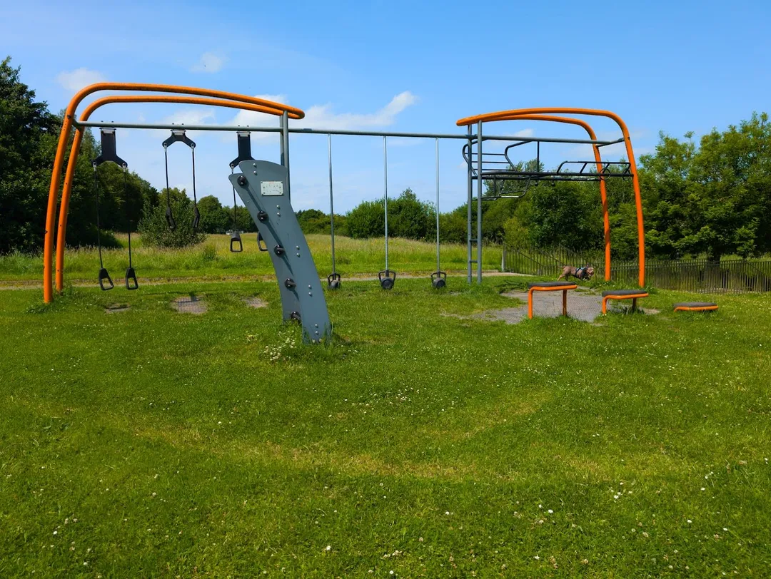 Monkey Bars at Calisthenics Park at Riverside Drive, Kilkenny – photo 2 of 2