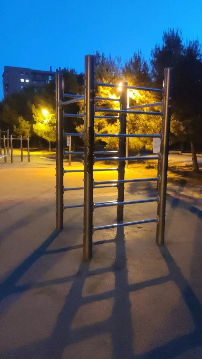 Monkey bar presso Calisthenics Park at Avinguda de les Nacions, Alacant / Alicante – foto 4 di 5