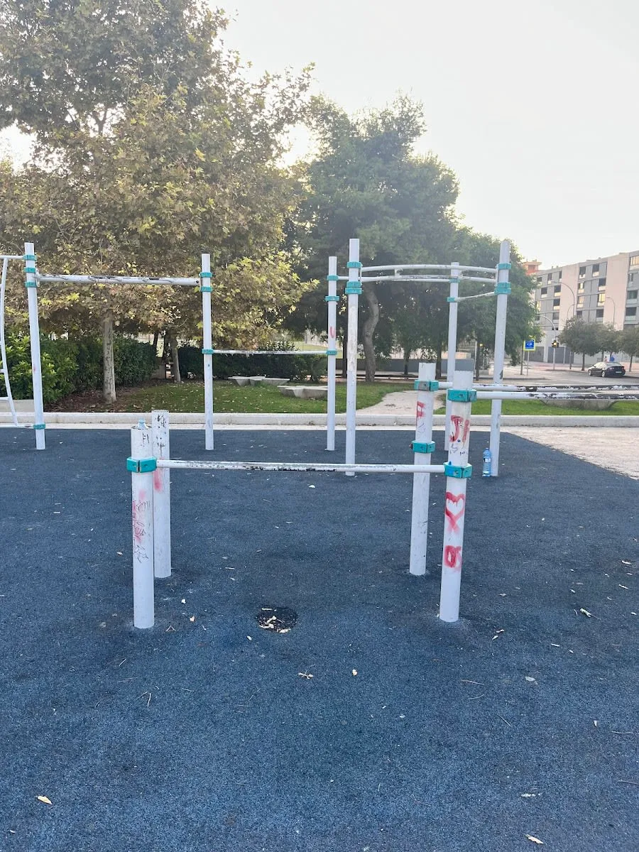Sbarra per trazioni presso Calisthenics Park at Carrer del Diputat José Luis Barceló, Alacant / Alicante – foto 1 di 4