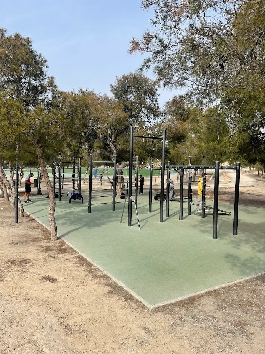 Турник на площадке Calisthenics Park at Carrer de l'Escultor Vicente Bañuls, Alacant / Alicante – фото 1 из 1