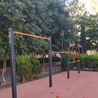 Calisthenics Park at Carrer de Salabert, València - thumbnail 3