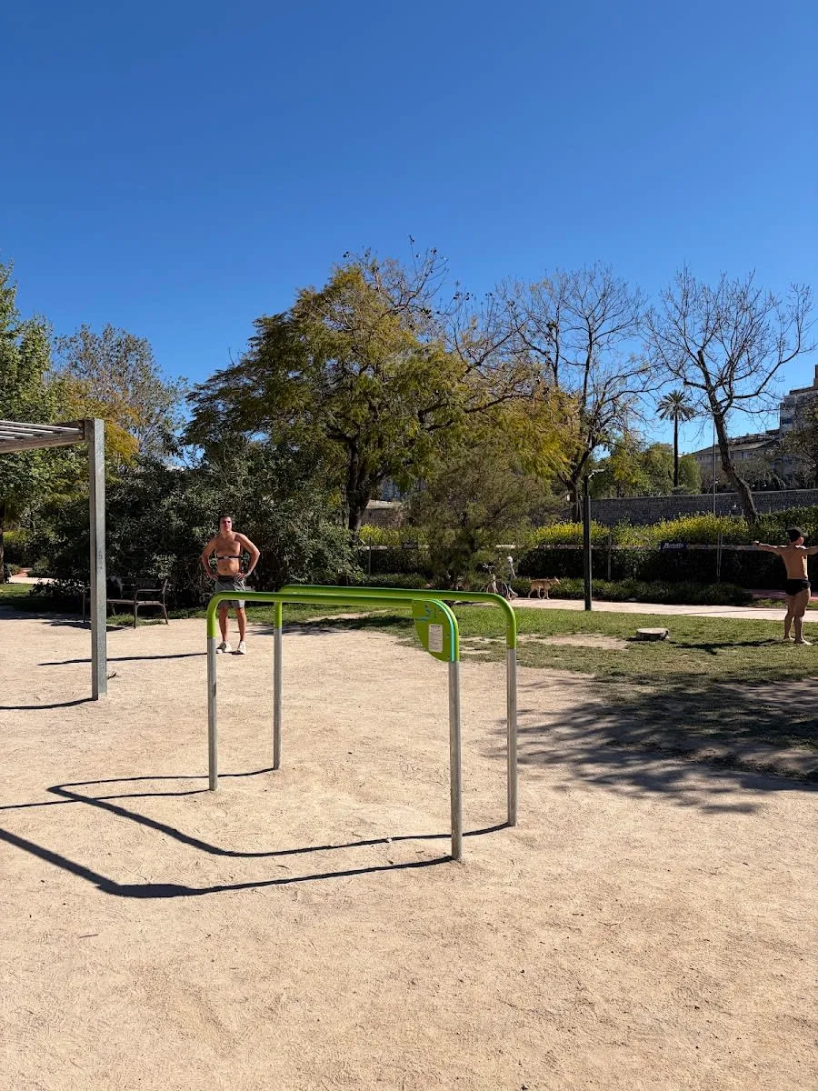 Monkey bar presso Calisthenics Park at Circuit 5K Jardí del Túria, València – foto 4 di 5