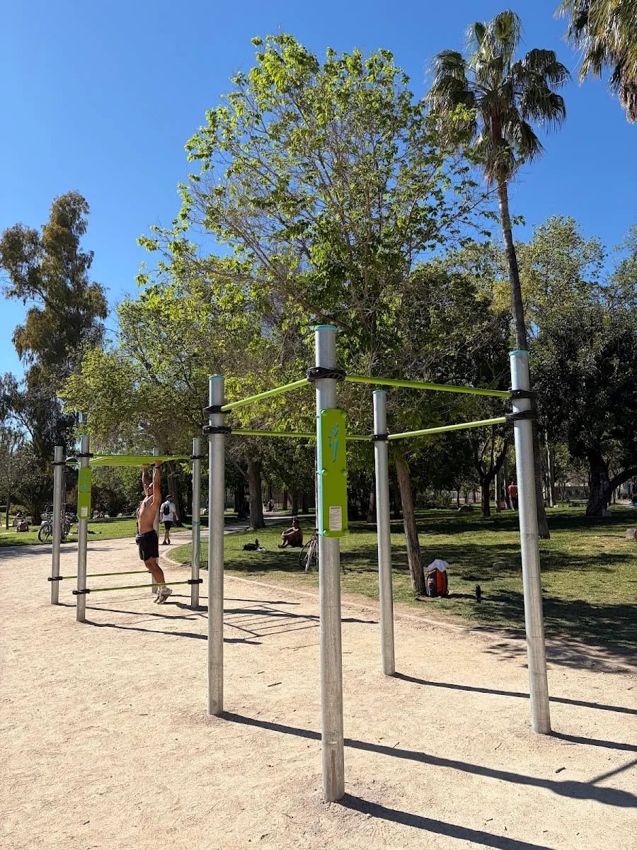 Parallele presso Calisthenics Park at Circuit 5K Jardí del Túria, València – foto 2 di 5