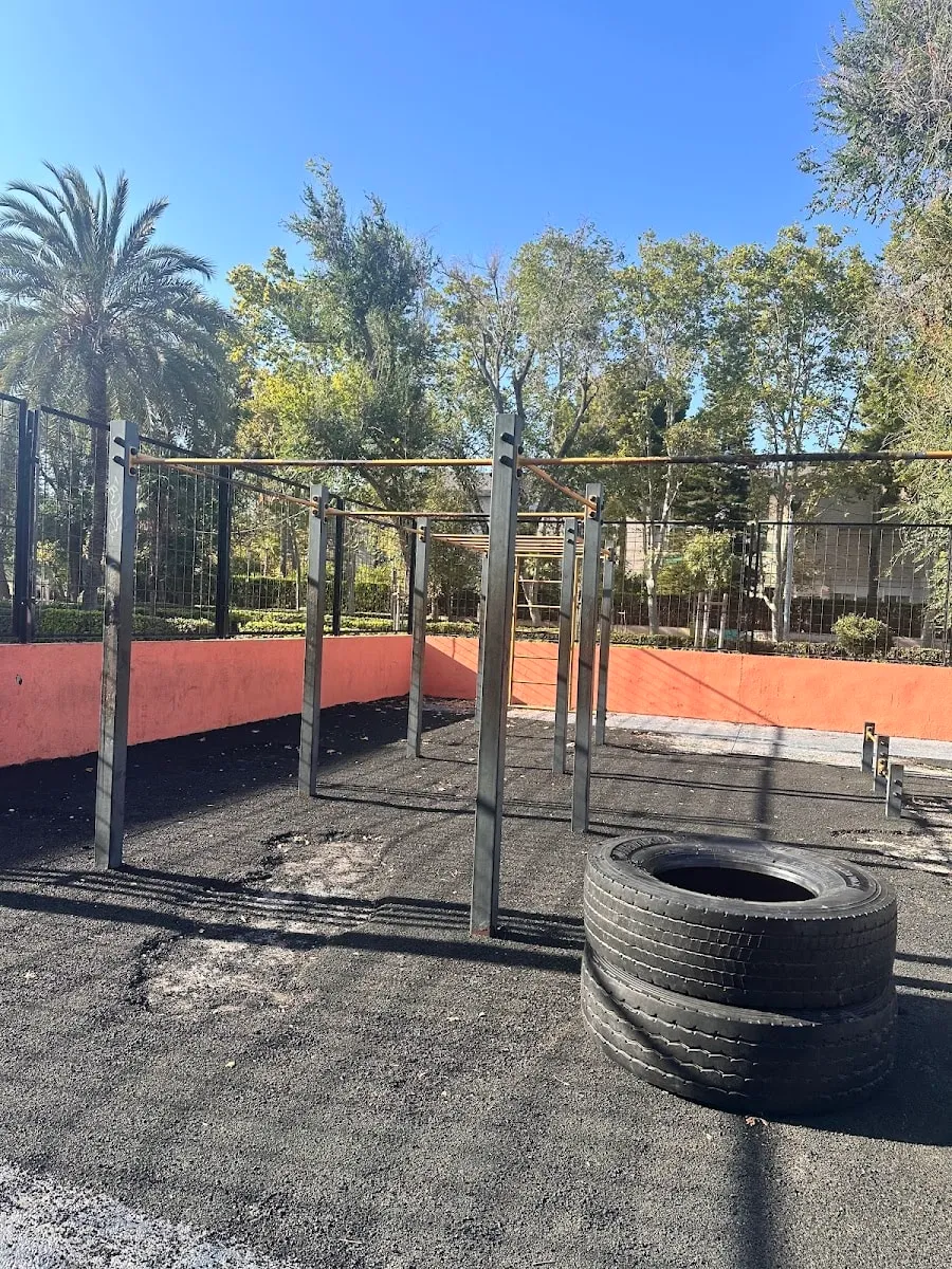 Maniglie per piegamenti presso Calisthenics Park at Plaça de Magúncia, València – foto 4 di 4