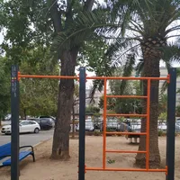 Calisthenics Park at Carrer del Cine, València - thumbnail 4