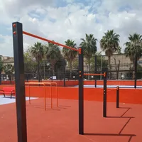 Calisthenics Park at Carrer de Vicente Guillot García (Lillo), València - thumbnail 4