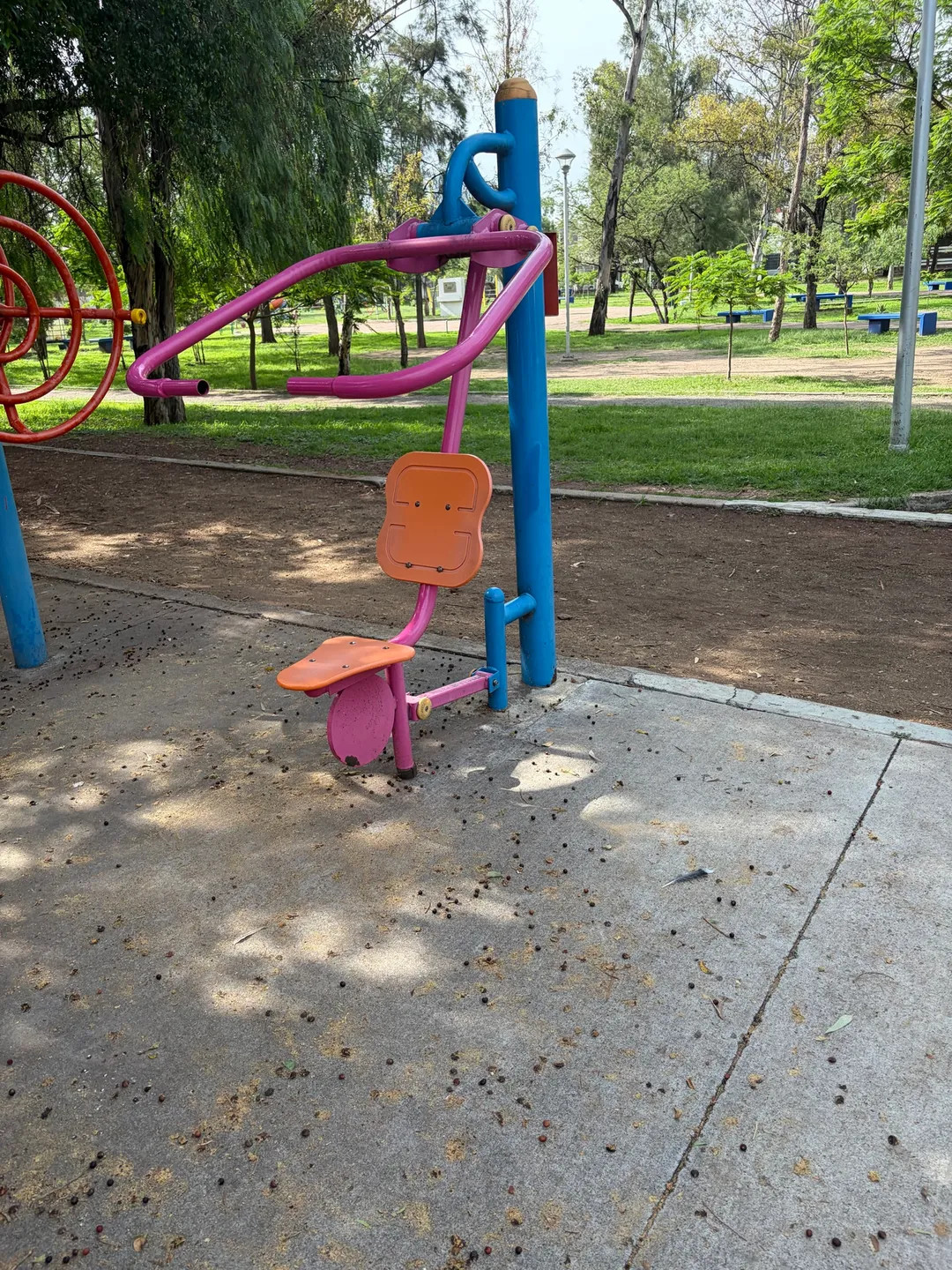 Air Walker at Calisthenics Park at Avenida Vicente Guerrero, Irapuato – photo 2 of 3