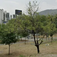 Calisthenics Park at Paseo de los Conquistadores, Monterrey