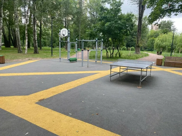Monkey Bars at Calisthenics Park at Сердобольская улица, Санкт-Петербург – photo 4 of 4