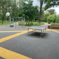 Calisthenics Park at Сердобольская улица, Санкт-Петербург - thumbnail 4