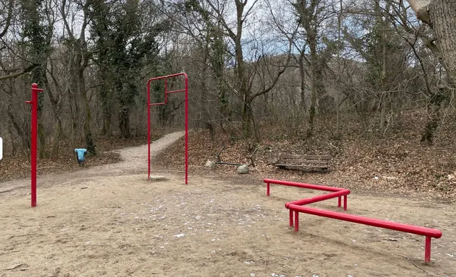 Calisthenics Park at Podolin utca, Budapest