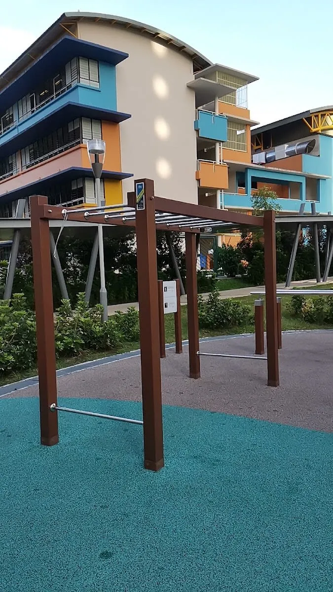 Maniglie per piegamenti presso Calisthenics Park at Bukit Batok Street 21, Singapore – foto 5 di 5