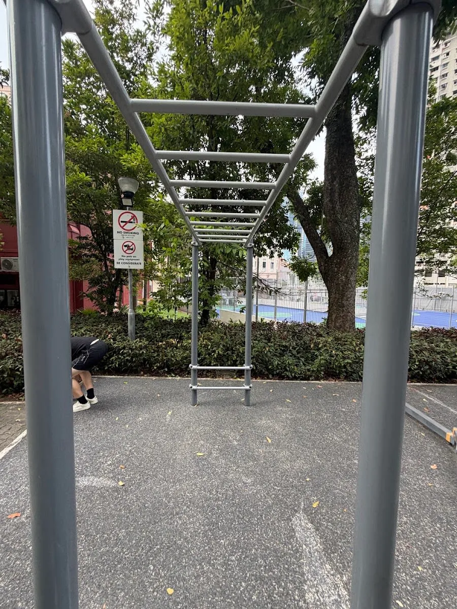 Barras de Mono en Calisthenics Park at Cantonment Road, Singapore – foto 4 de 4