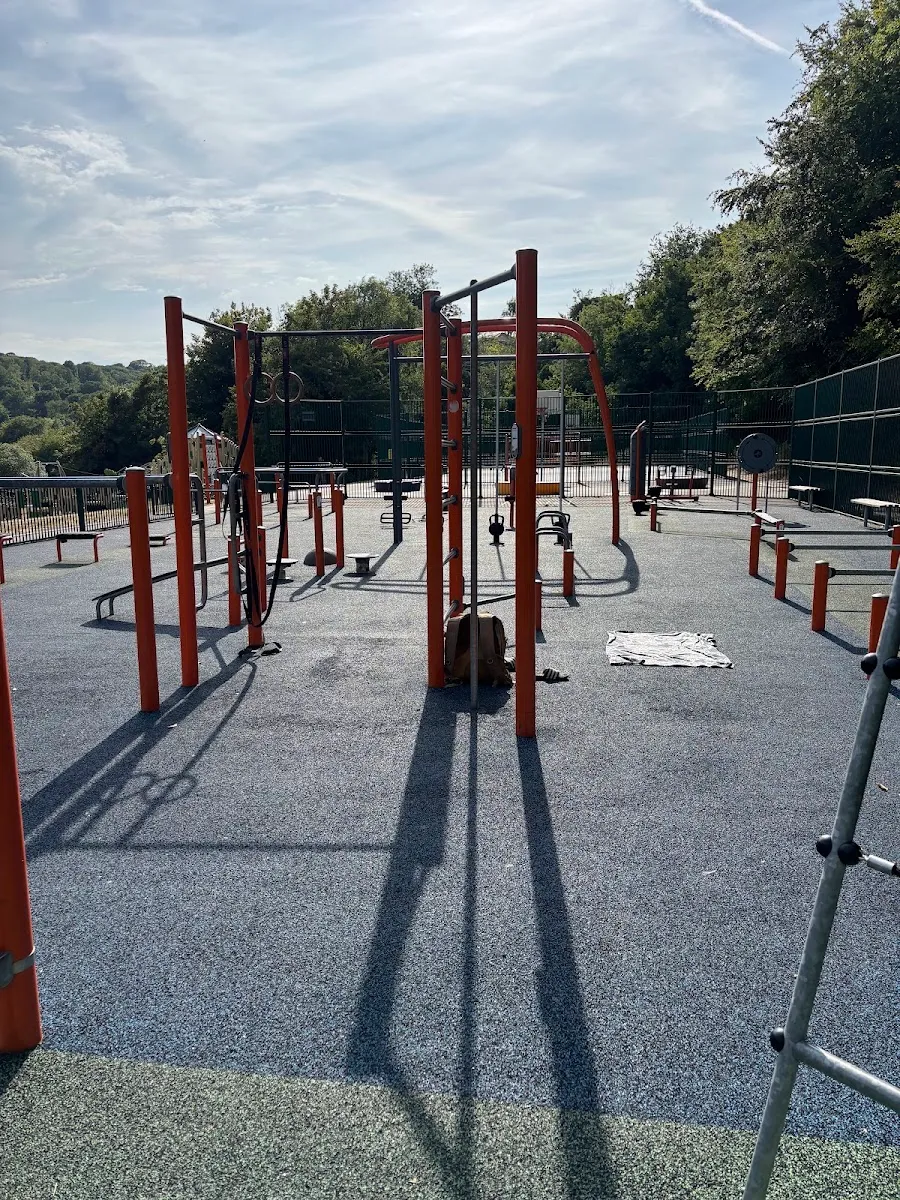Monkey Bars at Calisthenics Park at Park Road, Brighton – photo 4 of 9