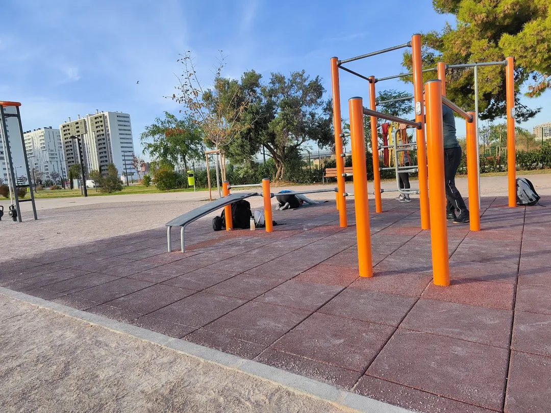 Wall Bars at Calisthenics Park at Carrer de Fernando Puchol, València – photo 2 of 3
